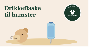 drikkeflaske_til_hamster_forsidebilde