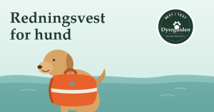dyreguiden-redningsvest-artikkelbilde