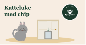 Katteluke med chip - best i test 2026 katteluke_med_chip_forsidebilde_v2