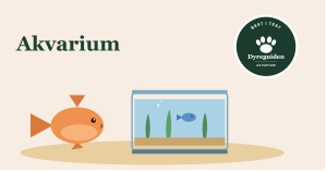 akvarium_forsidebilde