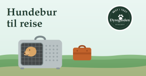 dyreguiden-hundebur-artikkelbilde