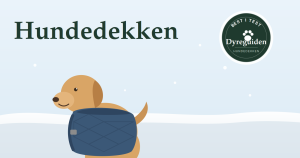 dyreguiden-hundedekken-artikkelbilde