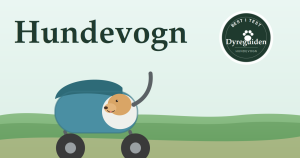 dyreguiden-hundevogn-artikkelbilde