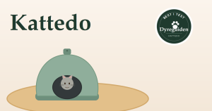 Kattedo - best i test 2026 dyreguiden-kattedo-artikkelbilde