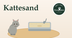 Kattesand - best i test 2026 dyreguiden-kattesand-artikkelbilde