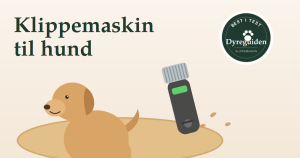 dyreguiden-klippemaskin-artikkelbilde