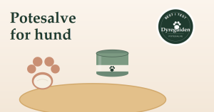dyreguiden-potesalve-artikkelbilde