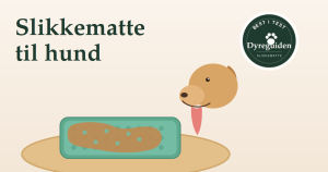 Slikkematte til hund - best i test 2026 dyreguiden-slikkematte-artikkelbilde