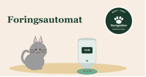 foringsautomat_forsidebilde