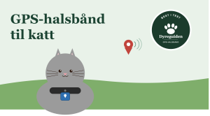 gps_halsband_til_katt_forsidebilde