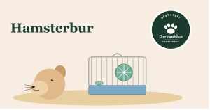 hamsterbur_forsidebilde