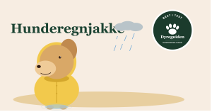 Regnjakke til hund best i test 2026 hunderegnjakke_forsidebilde