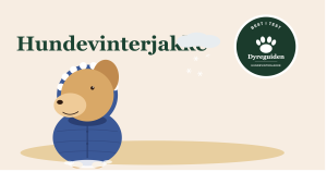 hundevinterjakke_forsidebilde