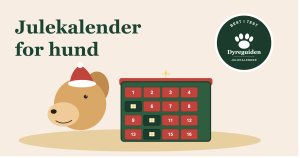 Julekalender for hund - best i test 2026 julekalender_for_hund_forsidebilde