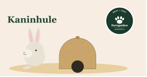 kaninhule_forsidebilde