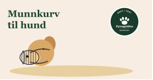 munnkurv_til_hund_forsidebilde
