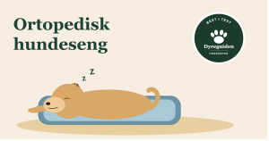 ortopedisk_hundeseng_forsidebilde